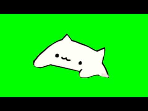 bongo-cat-meme-green-screen
