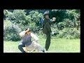 Crazy Horse Intelligent Monkey Hon Gwok Choi