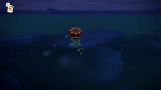 Animal crossing gigas giant clam