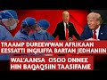 TRUMP DUREEWWAN AFRIKAAN EESSATTI INGILIFFA BARTAN JEDHANIIN ITOPIYAATTI OSOO ONNEE HIN BAQAQSII TRUMP DUREEWWAN AFRIKAAN EESSATTI INGILIFFA BARTAN JEDHANIIN ITOPIYAATTI OSOO ONNEE HIN BAQAQSII