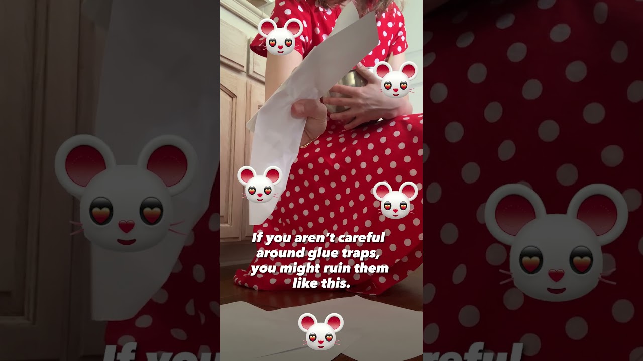 How to Ruin Glue Traps