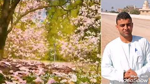 قصار السور للقارئ احمد ابراهيم عطيه