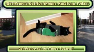 N2 the Talking Cat S2 Ep4 - The City screenshot 3