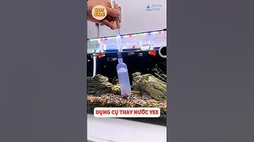 Dụng Cụ Thay Nước Hồ Cá Yee: Giải Pháp Tiện Lợi Cho Bể Cá Sạch Đẹp #beca #cacanh #aquarium