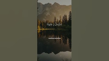 تلاوة جميلة للشيخ محمد صديق المنشاوي | قالت نملة يا أيها النمل ادخلوا مساكنكم