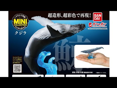 クジラ2様 リクエスト 2点 まとめ商品 【公式通販】 クジラ2様 リクエスト 2点 まとめ商品 【公式通販】
