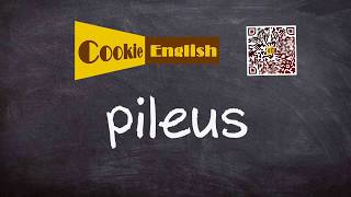 Pileus Pronunciation, Paraphrase, Listen & Practice