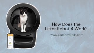 How Does the Litter Robot 4 Work? | @catladytails