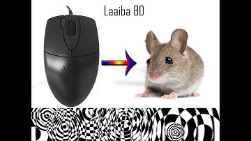 অরিজিনাল এবং নকল মাউসের পার্থক্য। Original A4tech Mouse| Laaiba BD