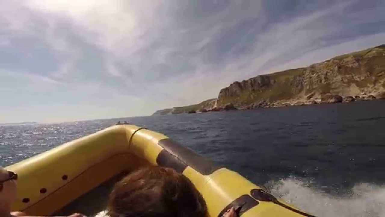 Jurassic Coast boat ride