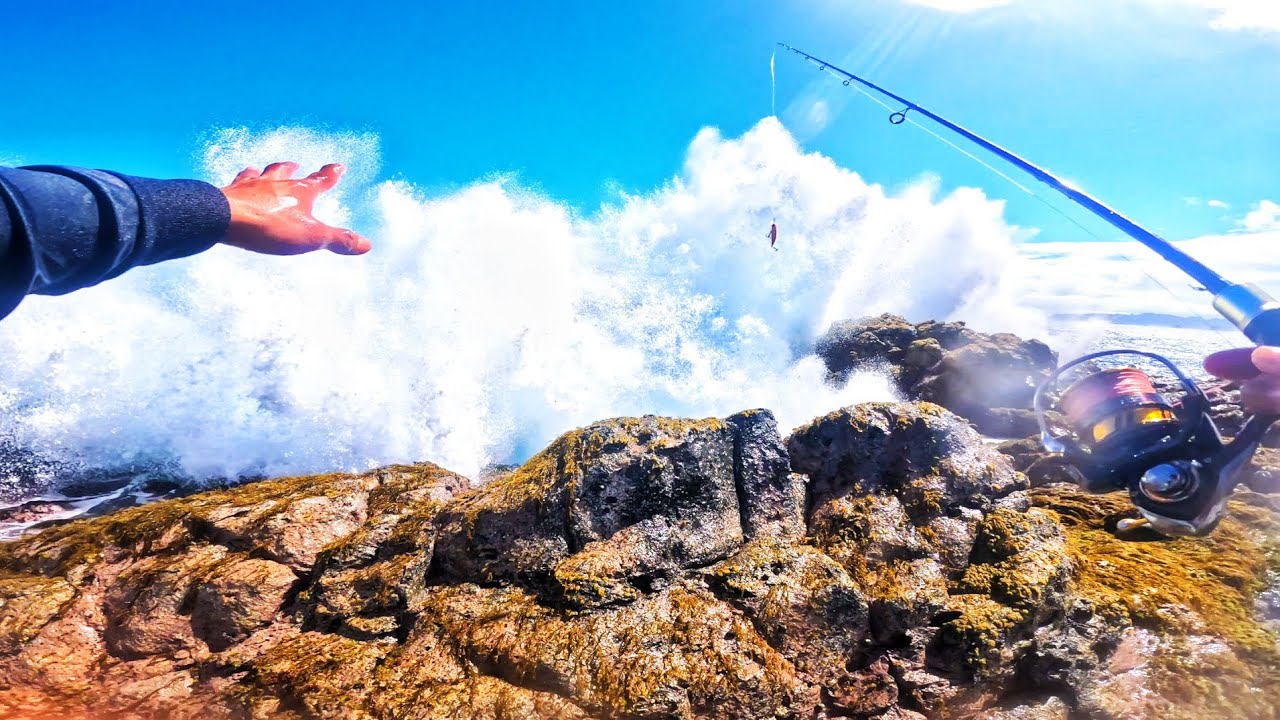 Dangerous spot of Trevally