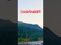 कश्मीर के वादियों में #travel #nature #song #bollywood #studywithme #upsc #love #kashmir #kedarnath