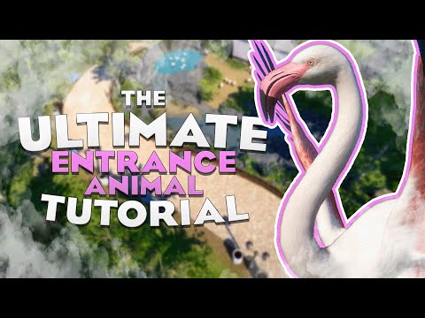 🦩 How to choose and build for an ENTRANCE ANIMAL in Planet Zoo! | Planet Zoo Tutorial
