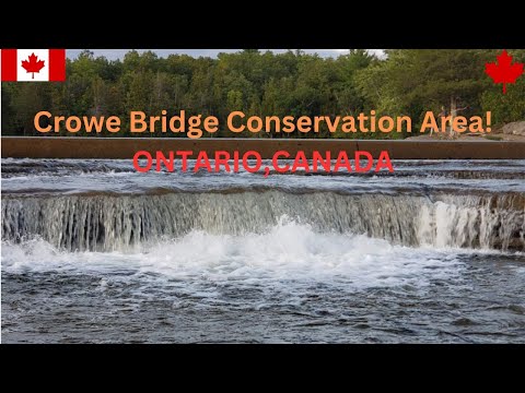 Video: Unde este râul Crowe?