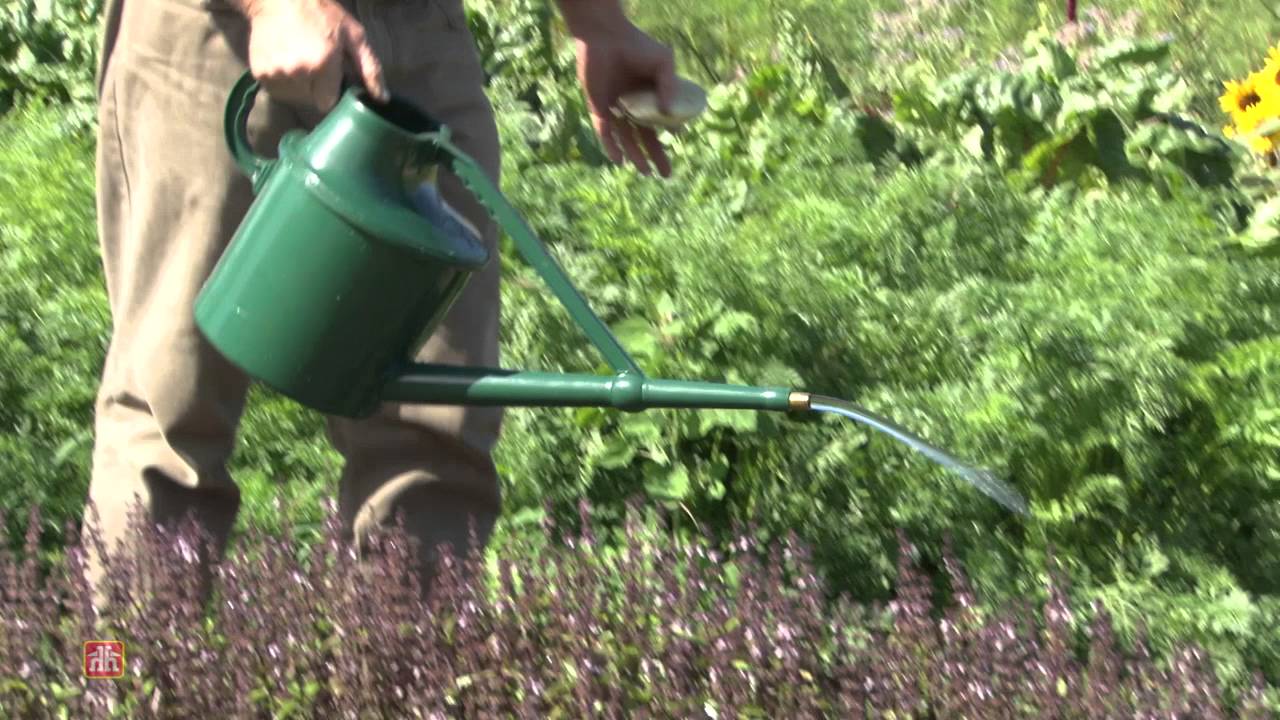 Mark's Choice Watering Can