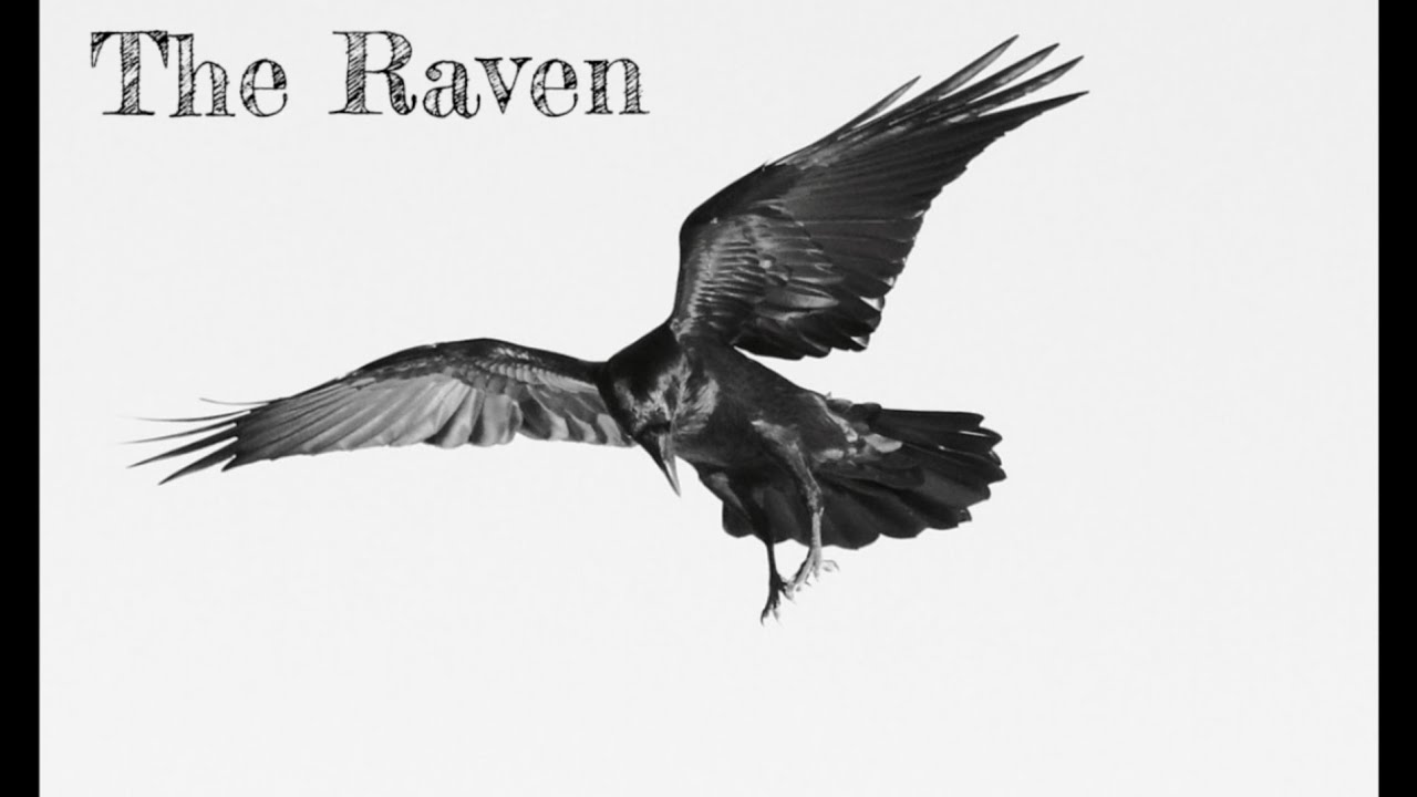 The Raven - by Edgar Allen Poe - A soft spoken asmr reading. - YouTube