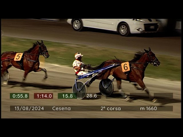 2024 08 13 | Corsa 2 | Metri 1660 | Premio Gatteo A Mare