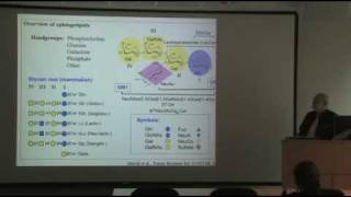Sphingolipidomics - Al Merrill