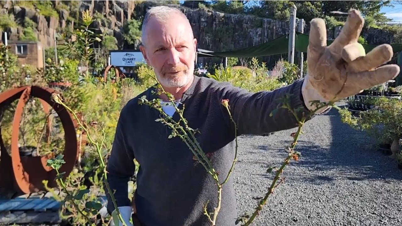How to prune roses in winter | Gardening with John Gabriele