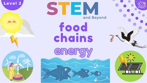 Food Chains| Science For Kids Year 2 | STEM Home Learning