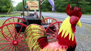 Bailiwick Marketing - Hilton Family Farmstand - Website Background Video V4