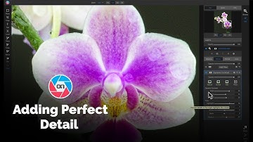 Dynamic Contrast: Adding Perfect Detail to Any Photo - ON1 Photo RAW 2019