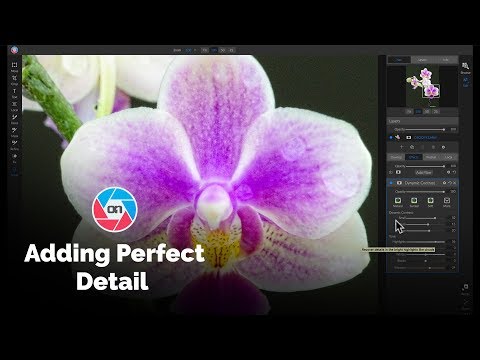 Dynamic Contrast: Adding