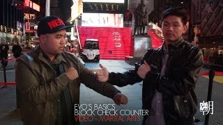 Modern Arnis Block Check Counter | Evo's Basics