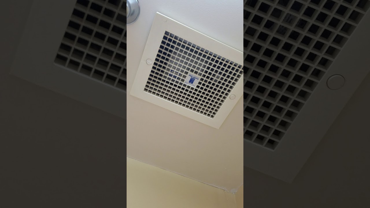 ULTRA LOUD HUM, BE CAREFUL! Penn Zephyr MidBlower exhaust fan YouTube