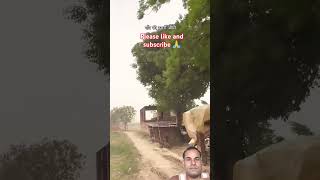 गांव में मस्ती #song  #masti #village #gewo #video