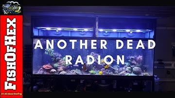 Dead Radion XR14 G4 Pro | Blinking Red Light & Chirping Power Supply