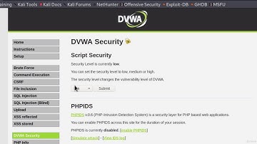 8  Reflected XSS & Cookie Stealing
