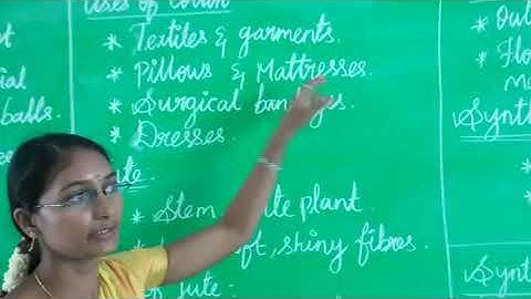 V Std Matter And Materials  Fibres  Science 1