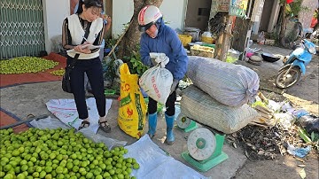 ĂN THỬ CÁC LOẠI TÁO VÀ GIÁ TÁO ĐẦU THÁNG 10 ÂM LỊCH TẠI LỤC NGẠN I NÚI ĐỒI LỤC NGẠN