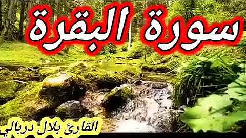 سورة البقرة للقارئ بلال دربالي