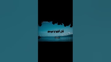 #القرآن_الكريم #قرآن #تلاوة #خشوع #صوت_جميل #quran #صوت_جميل_جدا #القرآن #القران_الكريم_في_الصباح