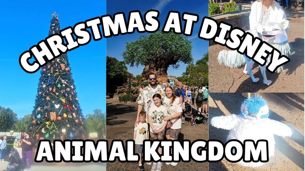 Animal Kingdom at Christmas 🎄 | Animal Kingdom Lodge Visit | Disney World Trip 2025