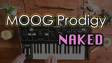 😎 Moog Prodigy 😎 🎧 (no talking) 🎧