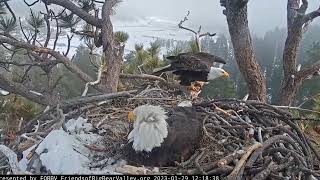 Jackie, Shadow Storm in the valley Big Bear Bald Eagle Live Nest   Cam 1 \/ Wide View - Cam 2