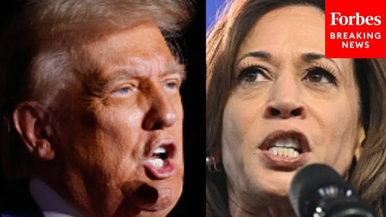 New Poll Shows How Well Trump May Have To Do With Election Day Voters ...