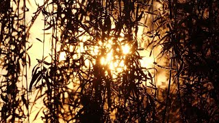 Fabrizio Paterlini • When Orange is the Sky (Neo Geo Remix)