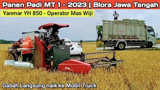 Kombi Yanmar YH 850 | Memanen di Blora Jateng | Gabah Langsung naik ke Mobil Truck