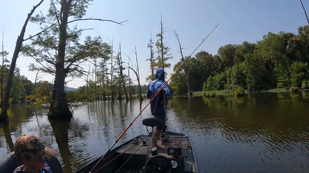 Hot Summer Bass Fishing