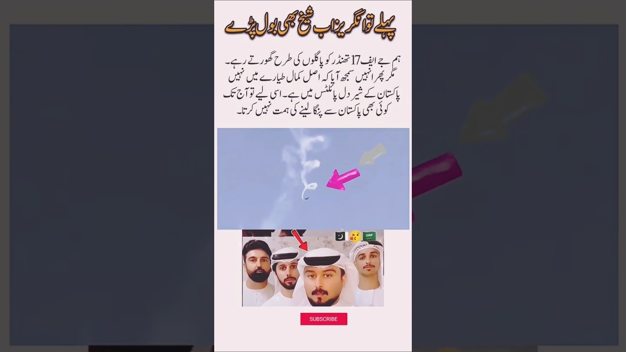 Dubai Visitors Applaud Pakistani Pilot at Dubai Airshow 🇵🇰✈️ 