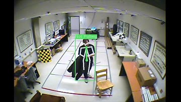 Vision-based Fall Detection using Pose Estimation (weakness 2)