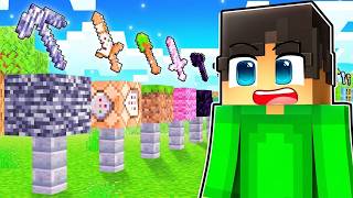 Minecraft, But There Are Custom WEAPONS and BOSSES...