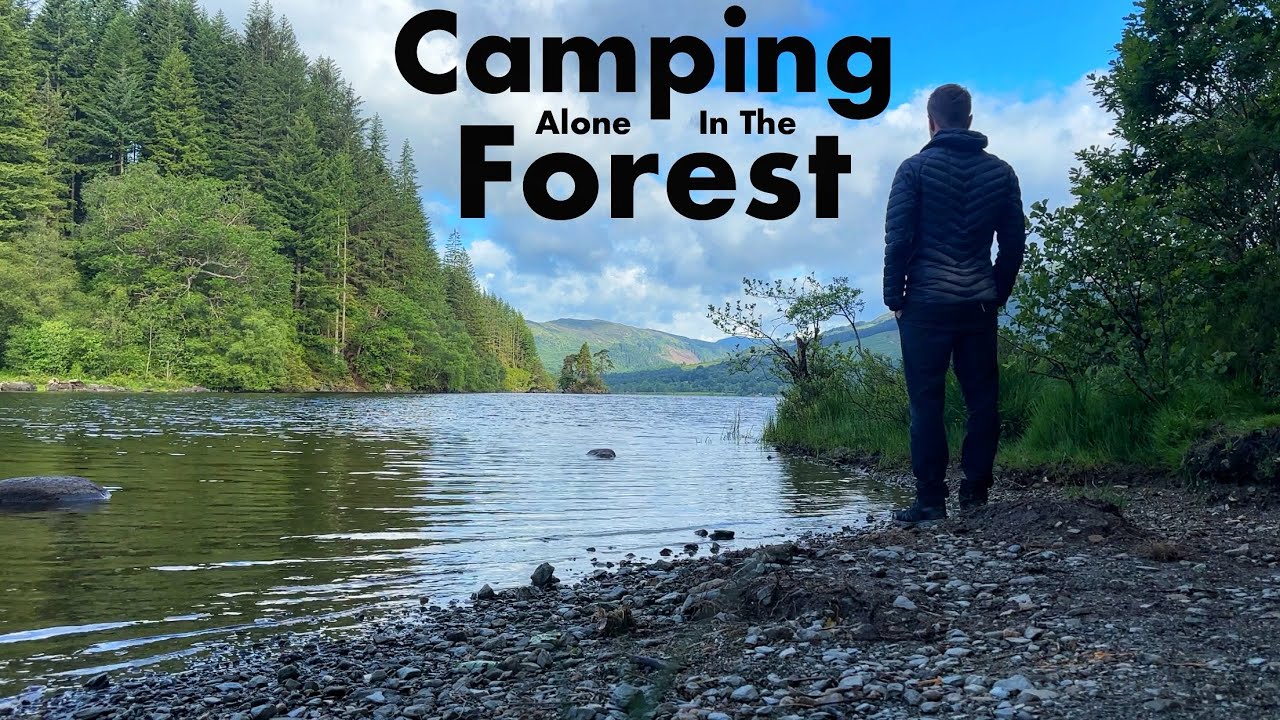 Wild Camping Alone In A Forest, Scotland