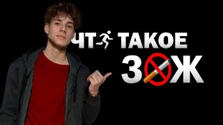 что такое ЗОЖ?