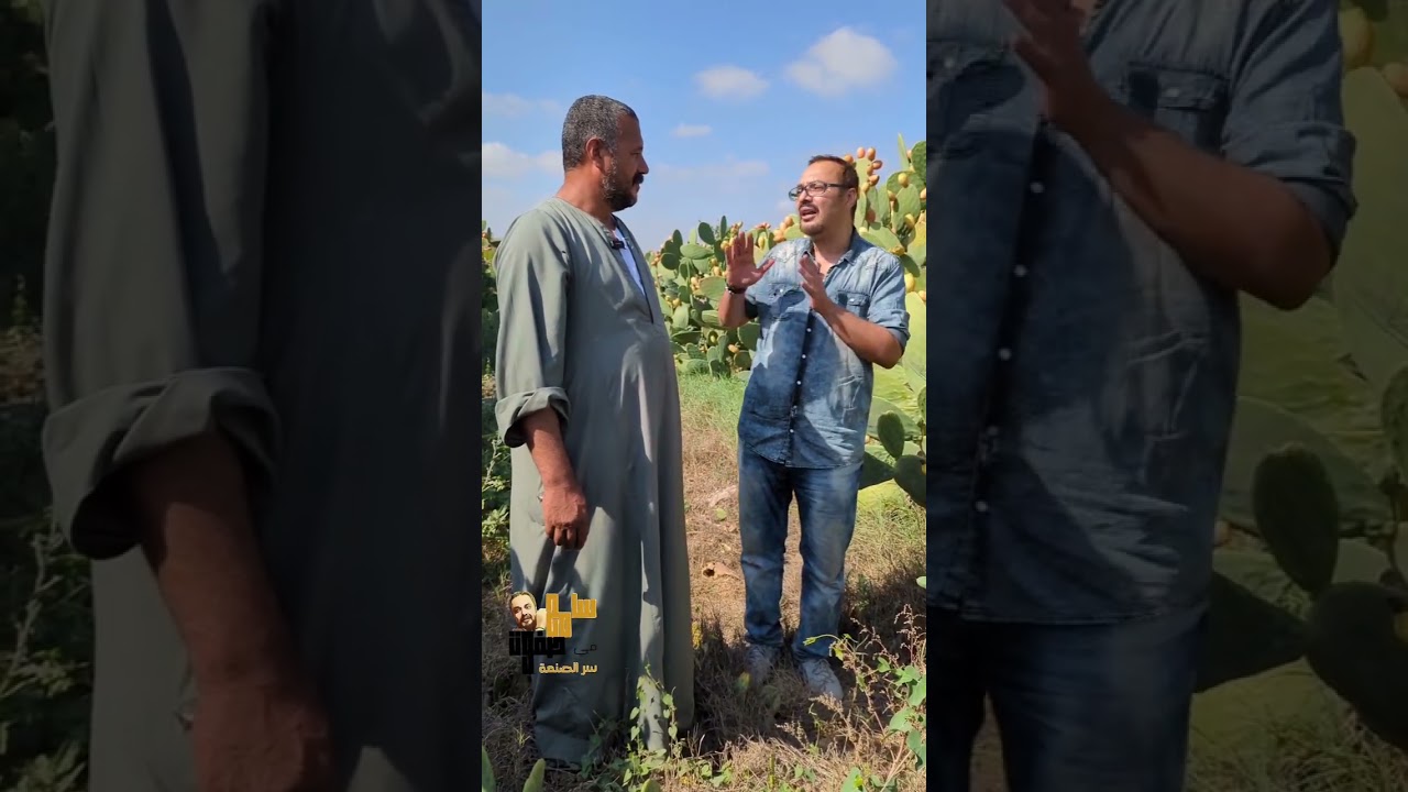 كل الناس عارفة نجاح التين الشوكى معادا أصحاب المصالح فقط 😂😂