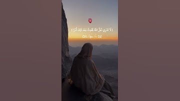 #القرآن_الكريم #راحة_نفسية #تلاوة_هادئة #اسلام_صبحي 🥀
